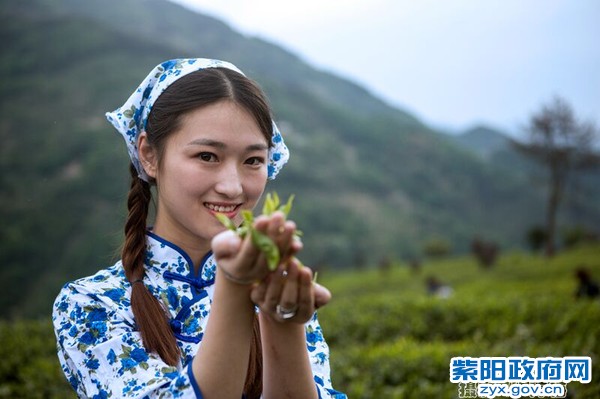 QQ圖片20160421141339.jpg