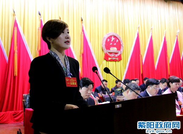 陳蓮縣長作政府工作報告.jpg
